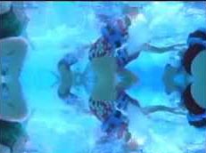 Beaker video